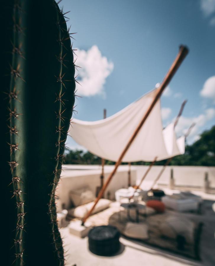 Ambre & Epices Jungle Hotel & Spa Tulum Exterior foto
